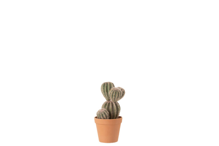 cactus deco
