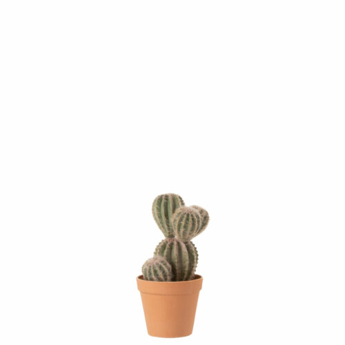 cactus deco